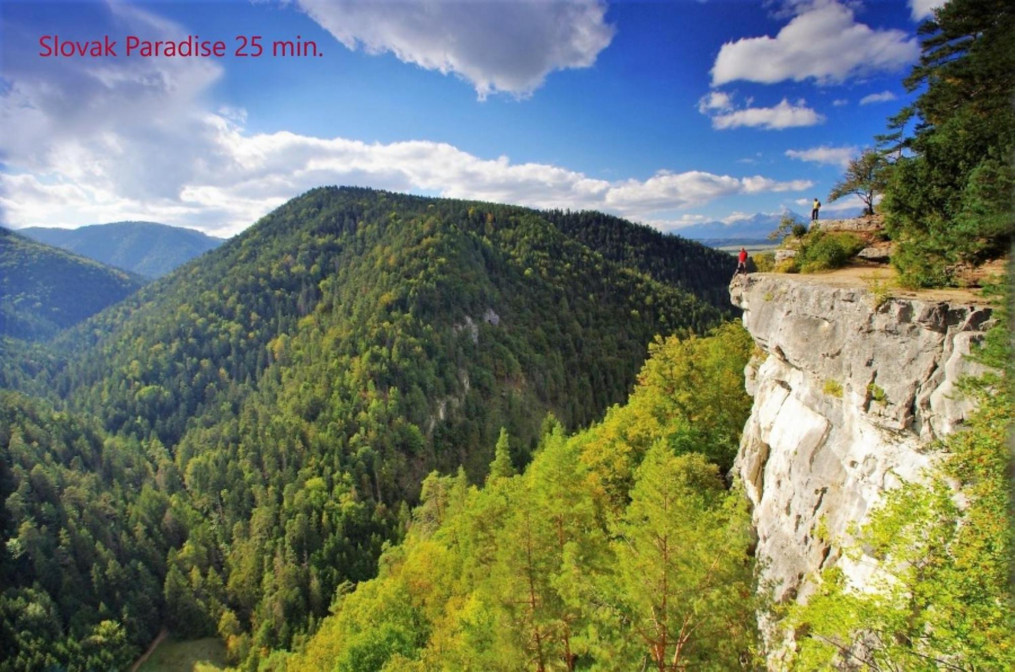 Tatrystay Cactus Premium Villa High Tatras Private Wellness Stará Lesná エクステリア 写真